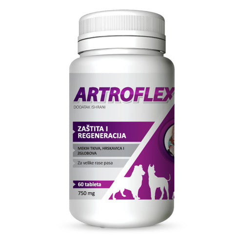 Artroflex